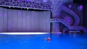 Моржи в Москвариуме