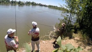 Ловим селедку