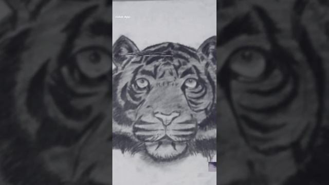 My favorite animal drawing tiger / sketch drawing❤🔥❤🔥❤🔥 #drawing #soravjoshiarts #realistic