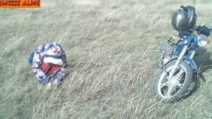 собираем грибы в Крыму