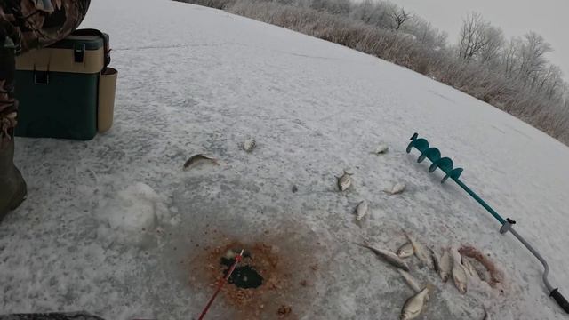 Зимняя рыбалка на плотву. Первая рыбалка со льда, первый лед. Рыбалка в Чечне смотреть онлайн