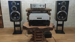 Denon pma-1000g