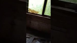 Власти р.п Пачелма Пензенской области решили,что решать проблему с жильём нет необходимости.