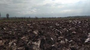 Вспашка целины. Участок 5 га для посадки малины.