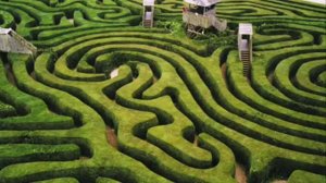 Des'ree - Crazy Maze