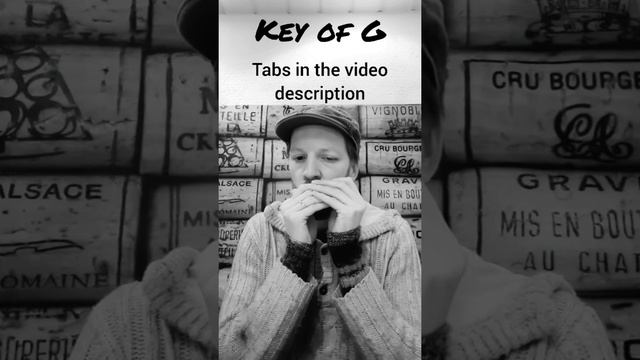 The Wellerman (Played in 5 ways on a G- and C-harp) - Harmonica (+Tabs)