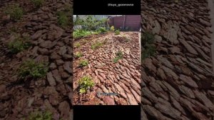 Мульчируем правильно. Картон и мелкая фракция коры.Полоть больше не нужно! Как сэкономить на мульче
