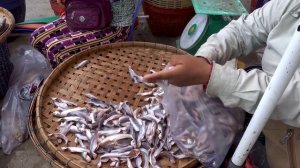 Cambodian  Dried Fish & Beef Jerky Distribution Site @Kilo 9 - Carp Dried fish & More