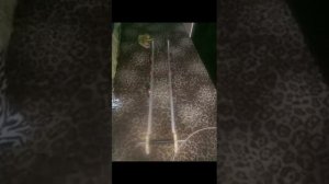 Для самодельного снегохода делаем подвеску