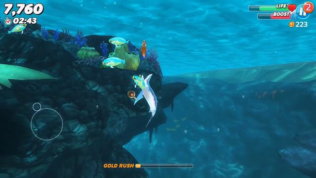 Hungry Shark World | iPhone Gameplay #4 - Unlock Blue Shark смотреть онлайн