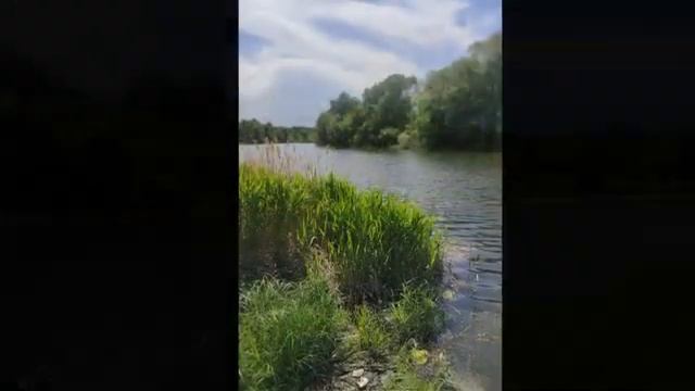 Мой дом, мой прайд. Поселок Мебельный (Бельское). Стерлитамакский район. Природа. смотреть онлайн