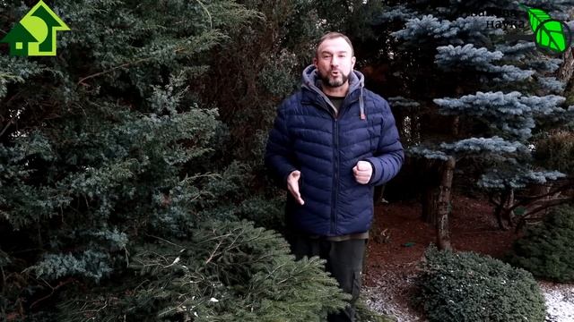 ОБРАБОТКА САДА ОТ БОЛЕЗНЕЙ И ВРЕДИТЕЛЕЙ РАНО ВЕСНОЙ: сроки, препараты, домашние составы и рецепты.