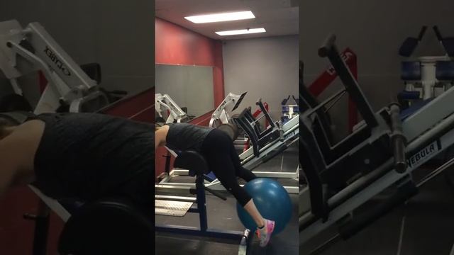 Stability ball Reverse Hyperextensions