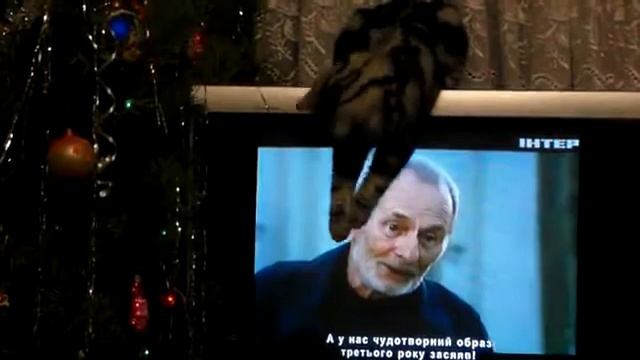 Просмотр телевизора