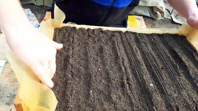 Посев РАННЕЙ КАПУСТЫ смотреть онлайн