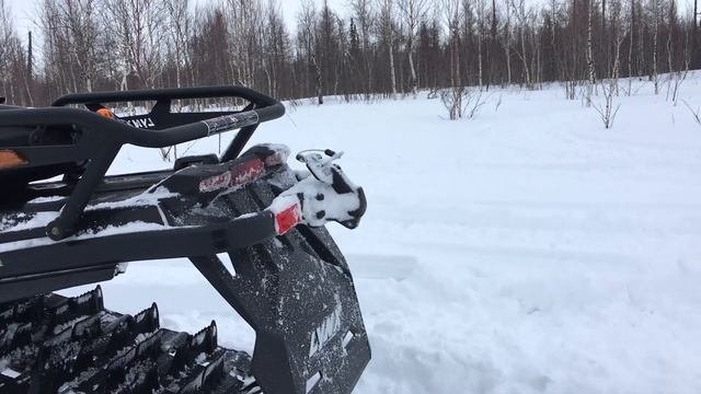 BRP LYNX 49 Renger 600r E-tec