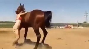 Лошадь пожалела девушку))