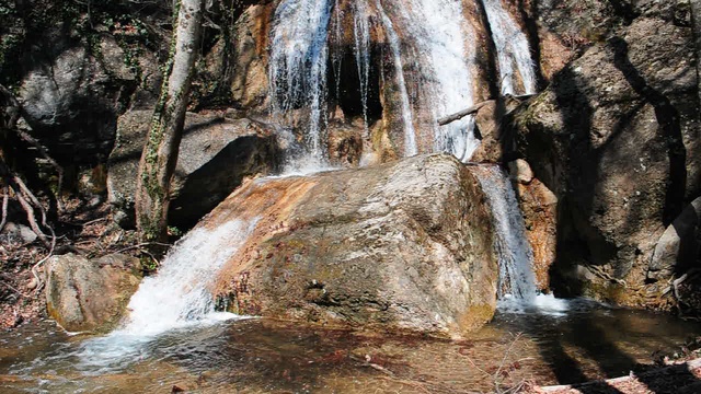 DSC_1665 смотреть онлайн