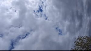 Номинация - свободнолетающие модели