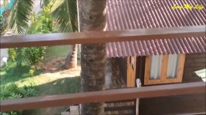 Morjim Hermitage Resort Review || Goa Tourism || Love My Life