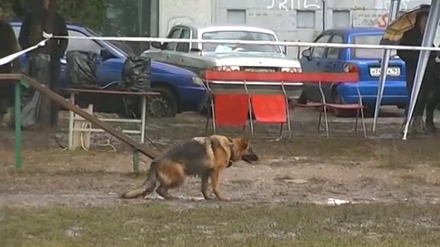 Вьюга с Немецкого Поволжья смотреть онлайн