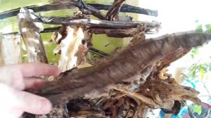 #75 Задний фон в палюдариуме, террариуме. 350 л. Background in the paludarium, a terrarium. 350 L.