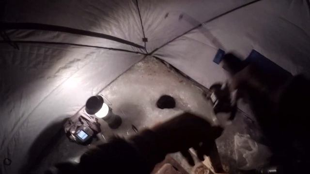 Невероятный клёв сига.Incredible Whitefish bite! смотреть онлайн