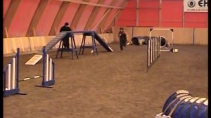 Mittelspitz agility 2