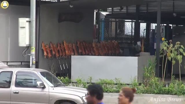 Ну точно поросята. Ну на да же. Паттайя. Таиланд. 1 смотреть онлайн