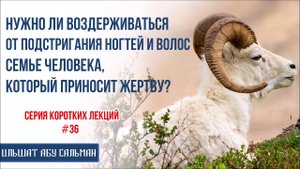 Ильшат Абу Сальман. Нужно ли воздерживаться от подстригания ногтей и волос семье? Курбан-Байрам