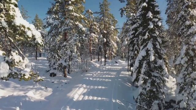 "Мороз и солнце; день чудесный!" "Зимнее утро" А.С. Пушкин. смотреть онлайн