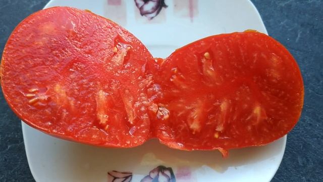 ТОМАТ КЛУБНИКА ШЛАУБАХ, КАКИМ ОН ВЫРОС У МЕНЯ смотреть онлайн