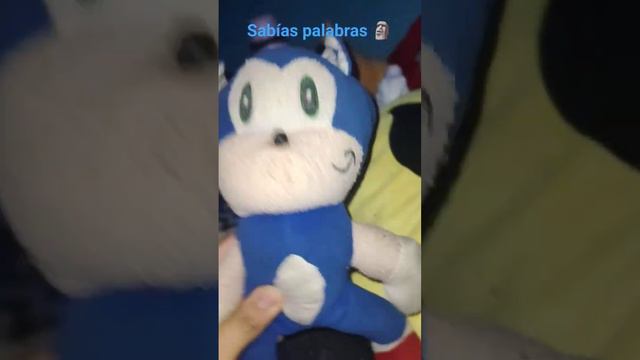 sabías palabras 🍷🗿 #sonicthehedgehog #humor