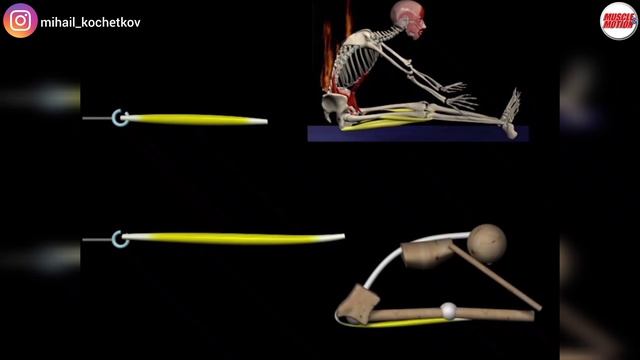 Наклон вперёд сидя (складочка) может быть опасен для некоторых людей смотреть онлайн