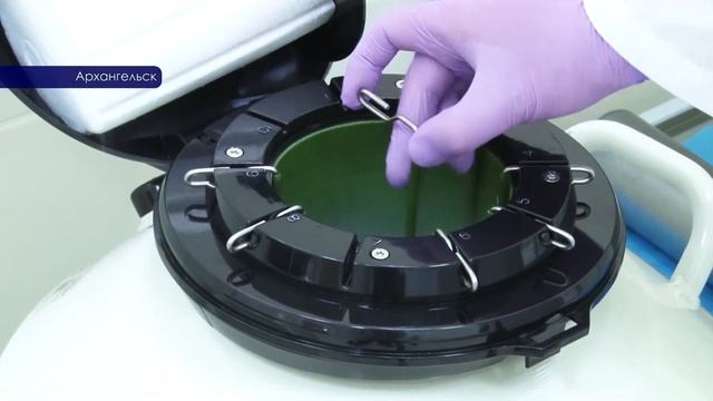 передача Медицина 29 от 16 апреля 2018 г смотреть онлайн