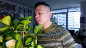 Top 5 Favourite Plants ? OCTOBER 2021 ? Philodendron Plowmanii, Strawberry Shake, Metallicum, & MOR