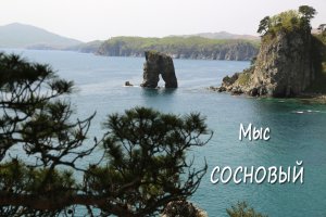 Мыс Сосновый (морской заповедник)