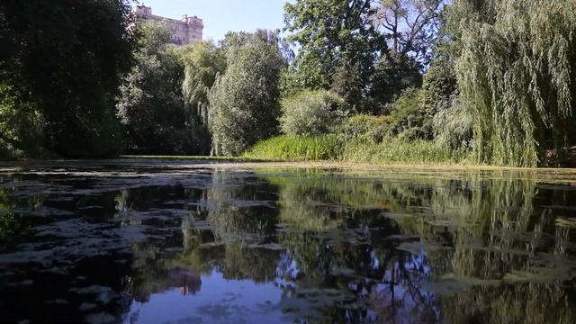 История аптекарского огорода МГУ