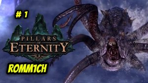 ⚔️ Pillars of Eternity 🏹 ⭐1 СЕРИЯ⭐ БЕЗ КОММЕНТАРИЕВ ⚔️