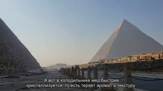 15 продуктов, которые нельзя хранить в холодильнике смотреть онлайн