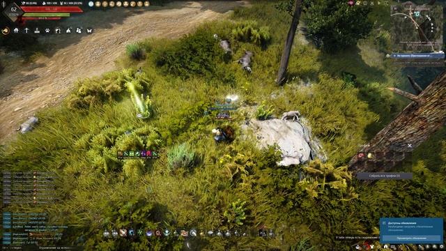 Сбор мяса. Оленина. Black Desert Фарм серебра 2022. Лучница.