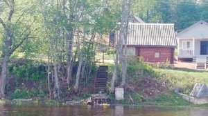 кривая клетка