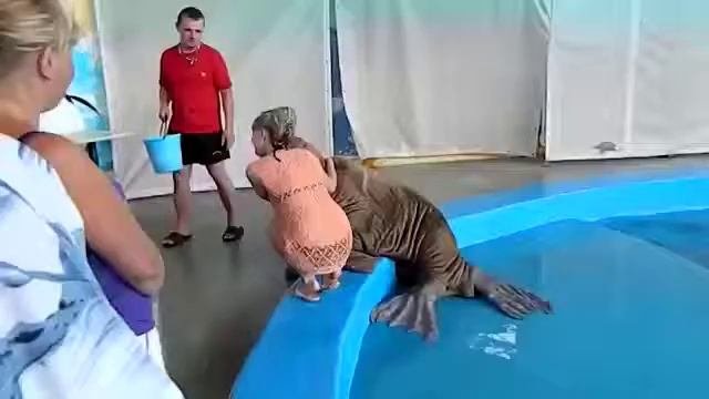 Шлепнул неожидано