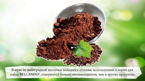 Ингредиенты Belcando – мука из виноградных косточек