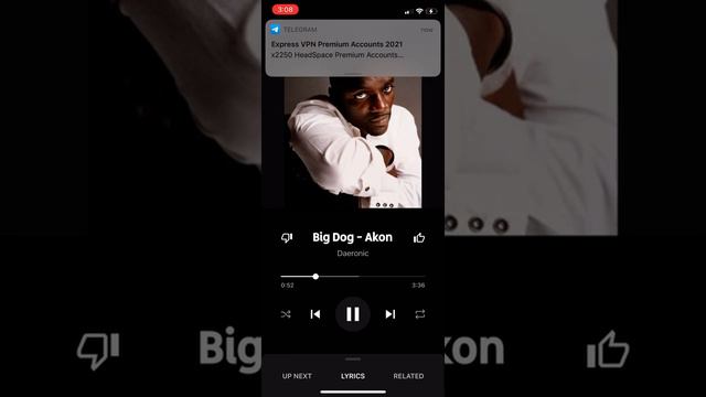Akon big dog