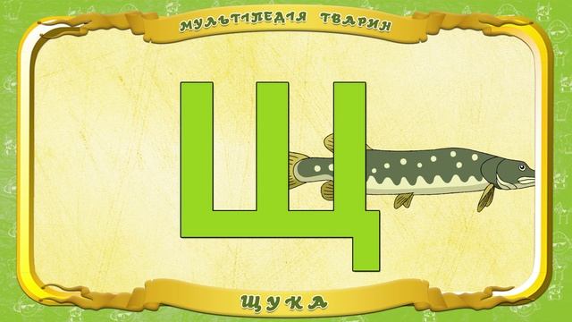 Мультіпедія тварин. Літера Щ - Щука смотреть онлайн