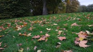 Достопримечательности Лондона. Парк Hampstead Heath.