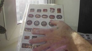 значки СССР (1)