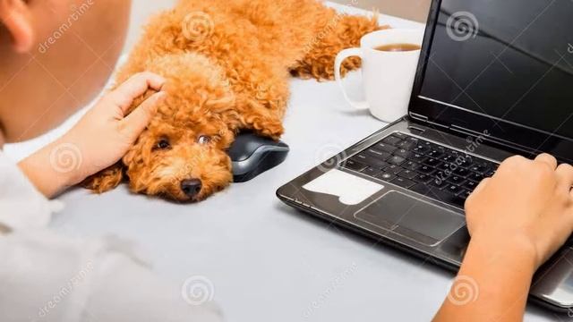 Детям Бабушка смотреть онлайн