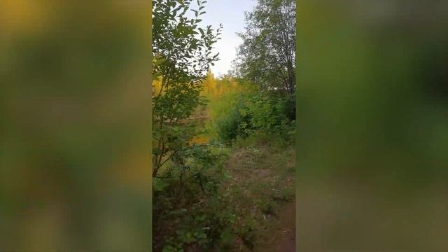Заозерье Пермь